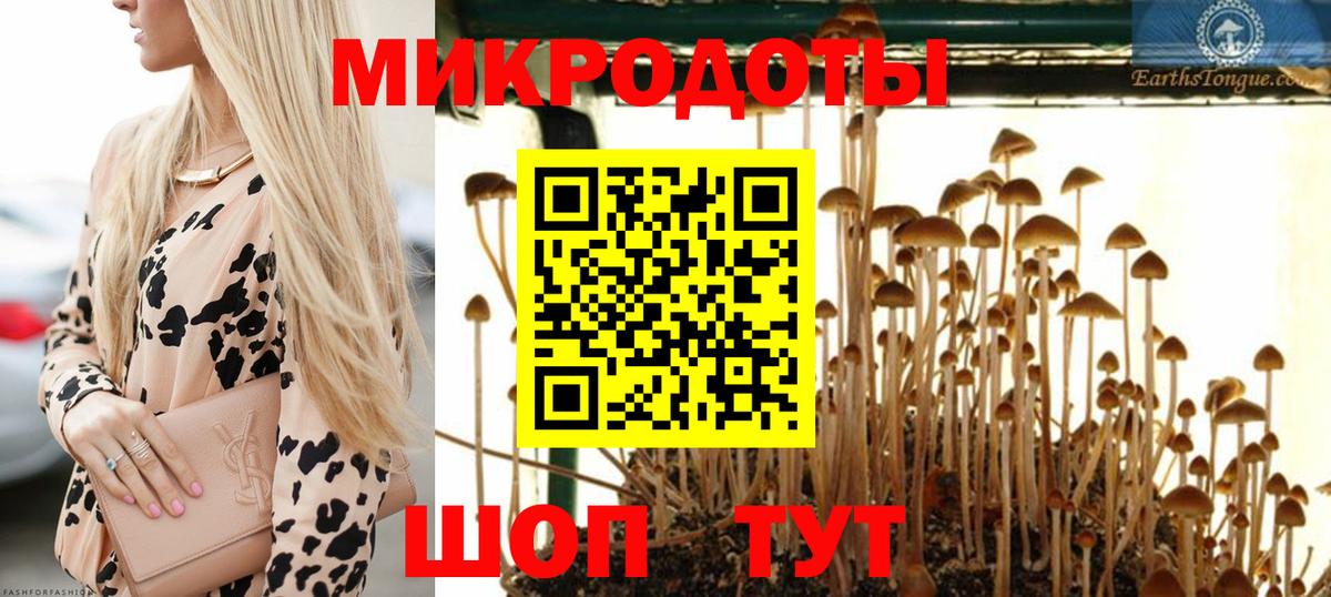 Галлюциногенные грибы GOLDEN TEACHER Чебаркуль