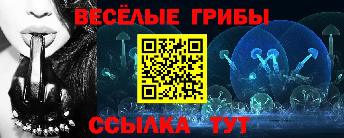 купить   Вход с VPN  Чебаркуль  Галлюциногенные грибы GOLDEN TEACHER 